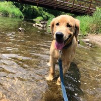 Melissa Wheatley (@mwheatley99) 's Twitter Profile Photo Melissa Wheatley (@mwheatley99) 's Twitter Profile Photo