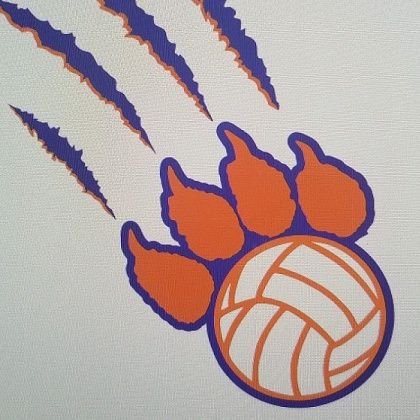 Bearcat Volleyball