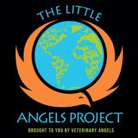 The Little Angels Project (@vamc_laps) 's Twitter Profile