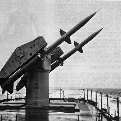 salguerre's profile picture. Happiness is a warm gun.