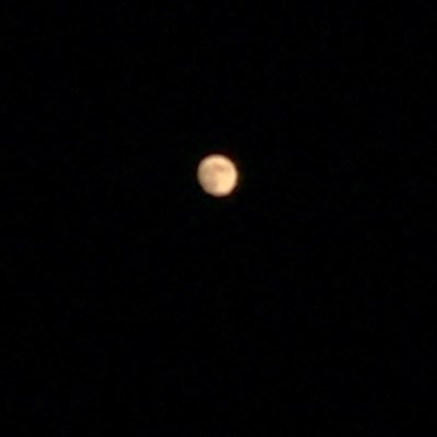 polarr16's profile picture. 
