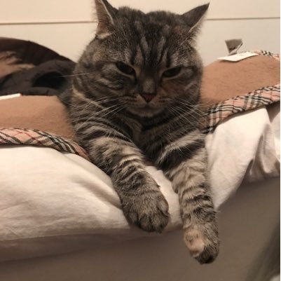 すみません。アカウントを整理したいので、フォローとフォロワーさんを一旦全てクリアします。