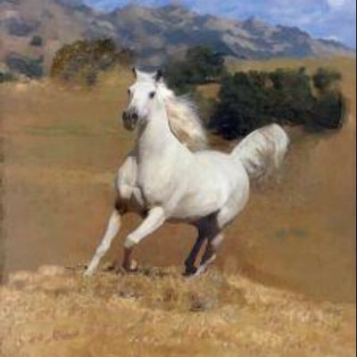 انسانه متفائلة واعيش الواقع واكره شيء اسمه خيانه والكذب والاستغفال احب لغيري مثل ما احب لنفسي ..