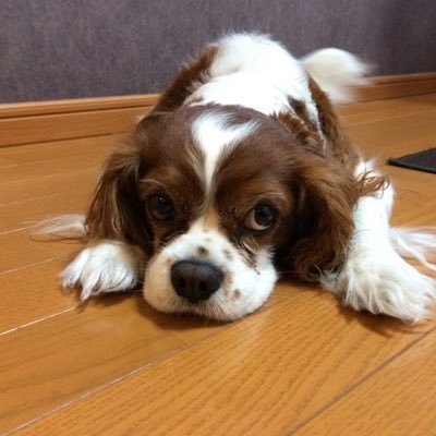 19730615_kou's profile picture. アニメ・漫画 エンタメ ライフスタイル 音楽