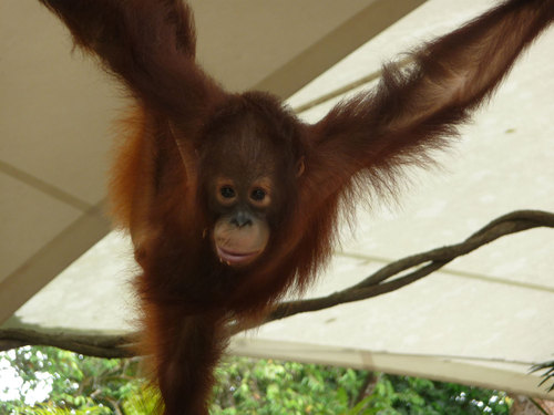 lukesexton's profile picture. 