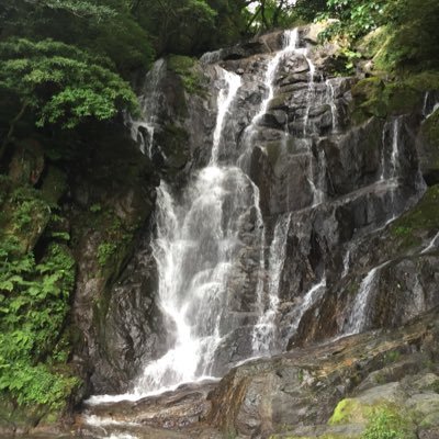 victoryroad_10's profile picture. 