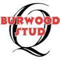 Burwood Stud (@studburwood) 's Twitter Profile Photo Burwood Stud (@studburwood) 's Twitter Profile Photo