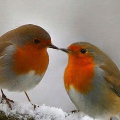 Tecknet3's profile picture. 