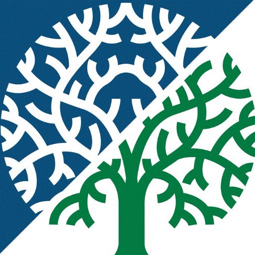 Professional Tree contractors and Arboricultural Consultants. Arb Association Approved Contractors