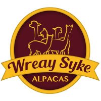 Wreay Syke Alpacas (@wreaysykealpaca) 's Twitter Profile