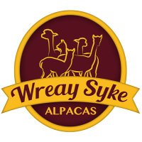 Wreay Syke Alpacas(@WreaySykeAlpaca) 's Twitter Profile Photo