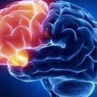 Qiang Li |Qi.A.Li (@decoding_brainq) 's Twitter Profile