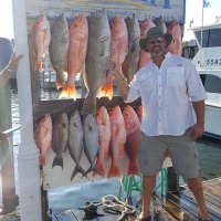 Paul Snellings (@psnells1) 's Twitter Profile