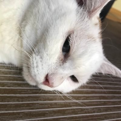 NcmsV4CVi2CSjG4's profile picture. 大学生  韓国ファッション