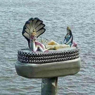 ArunShing9's profile picture. 