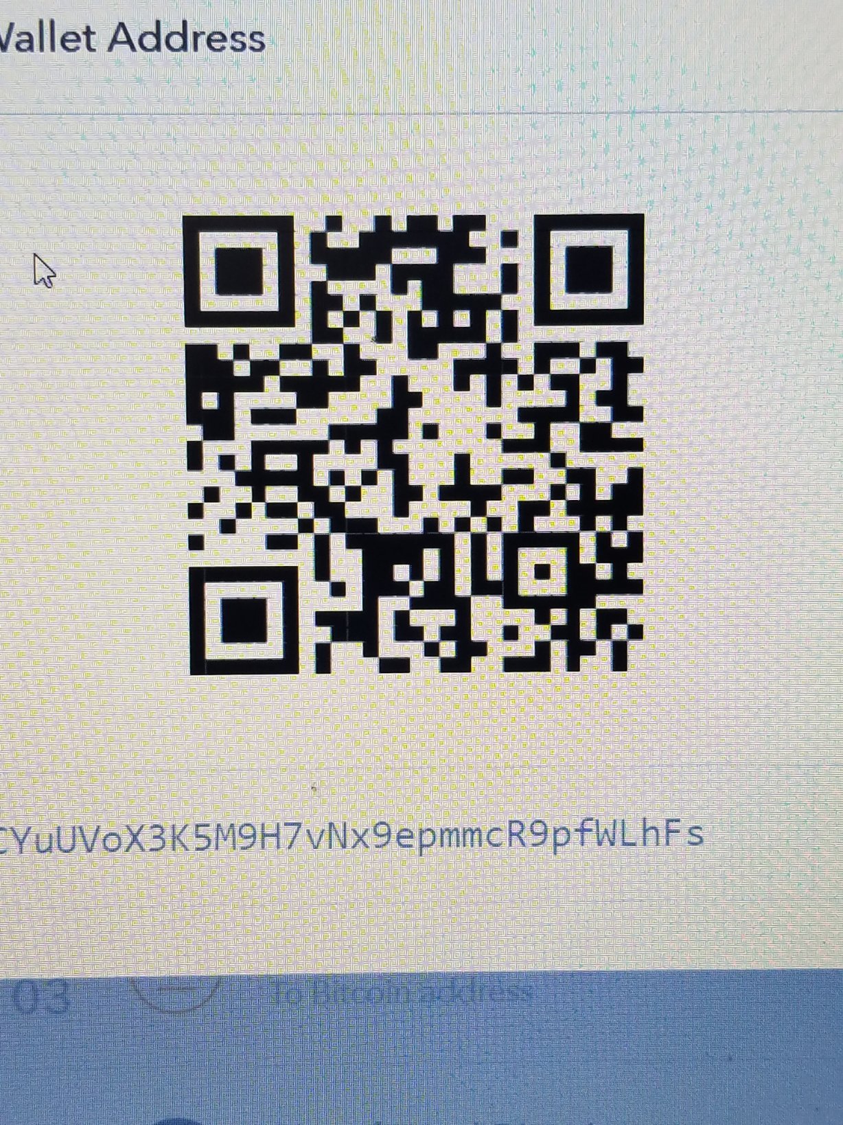 Cryptopanhndler's profile picture. BTC address is real. If you send BTC I will receive it and appreciate it but it is not necessary!
I am just a Crypto enthusiast making my first fore into social