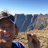 Dan van Hemert (@inxusa) 's Twitter Profile