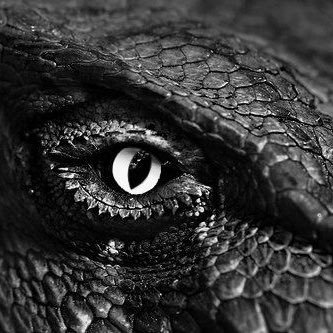 hey there. i see you’ve discovered my profile... well... congrats. i hope you find whatever you were searching for :)