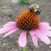OMHS Environmental Club (@omhsenviroclub) Twitter profile photo OMHS Environmental Club (@omhsenviroclub) Twitter profile photo