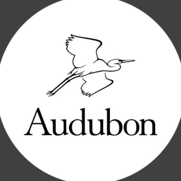 Official state office of @audubonsociety, protecting birds and the places they need🦉 101k members & 27 affiliated chapters strong 💪