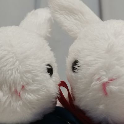 藍子さんのプロフィール画像