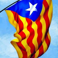 Joan Alcoberro (@alcoberroj) 's Twitter Profile