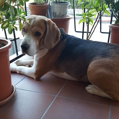 noemi_salva's profile picture. 