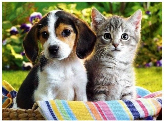 RominPaola's profile picture. Sitio oficial: Tengo 23 años, ¡¡Lo mas valioso en la vida no es lo que tenemos sino a quien tenemos. Y yo te tengo a ti!! Soy fanática de CNCO, cncowner de ❤💓