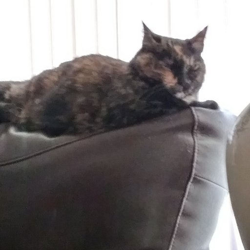 Rihkrar's profile picture. 28yrs old, Hobbyist Artist, Gamer.

#TaxtheRich