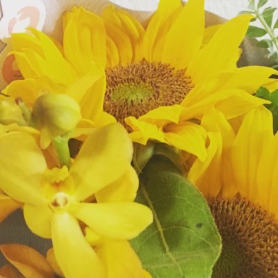 koishitamiyabi's profile picture. 3児の母です👩🏻  キーワード検索して見る事が多いのでたまに知らないひとのツイートを誤いいねします😂気付いたら消していますのでお気になさらず🙏🏻