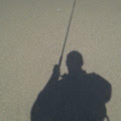 Mainly surf fishing the Central Coast & Bay Area of California... includes freshwater fishing as well.