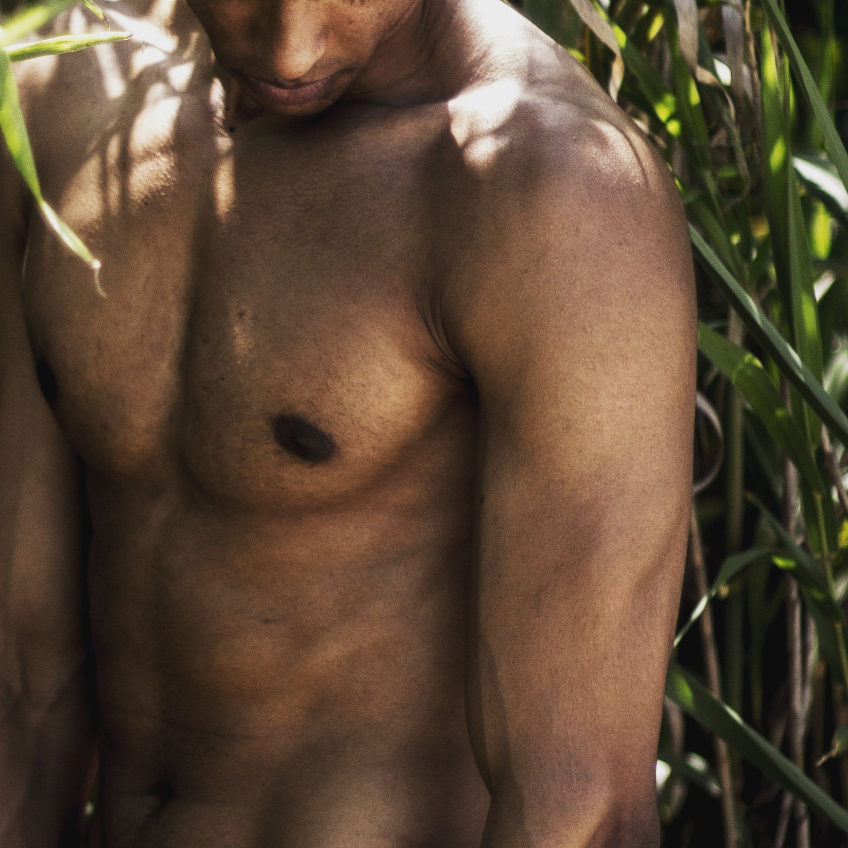 Pysanlorenzo's profile picture. Descubriendo