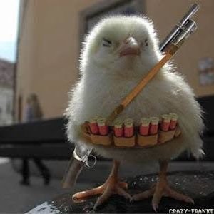 Eddy2182's profile picture. 