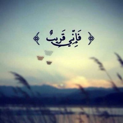 tahani82317379's profile picture. 