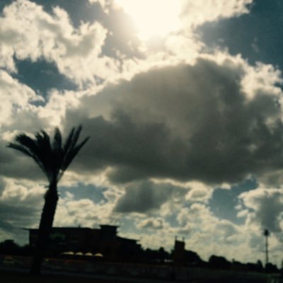 BtrcNDL2bnjVE0m's profile picture. 