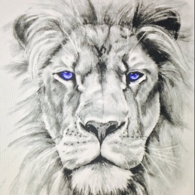 Estamos contigo, para que tus seguidores te recuerden y tengan presente en todo momento. Queremos apoyar tus proyectos.