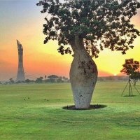 فحل مقيم بقطر (@sa7i3amer) Twitter profile photo