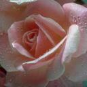 SAMEER PATHAK - @SAMEERPATHAK - Twitter