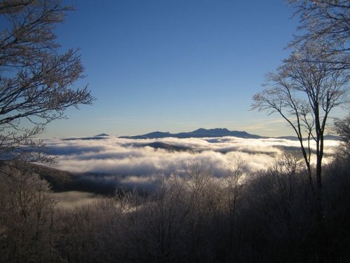 Country boy living in the city..Back to the mountains of NC ...One Day...