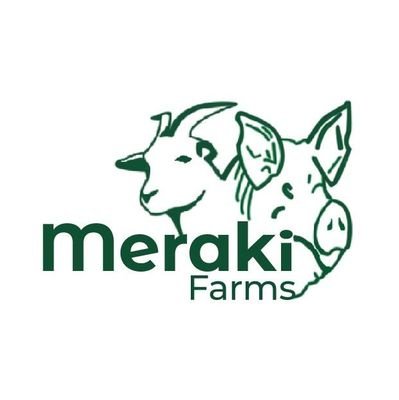 FarmsMeraki's profile picture. Farming with You in Heart ♥ | Instagram: @FarmsMeraki | Facebook: @FarmsMeraki | ©The Vortex®🍽️ | Contact us for your pigs & pork 🐽 |