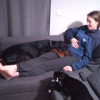 Maria Svensson Coelho (@coelhosvensson) 's Twitter Profile