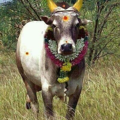 vinoth37140340's profile picture. wood work