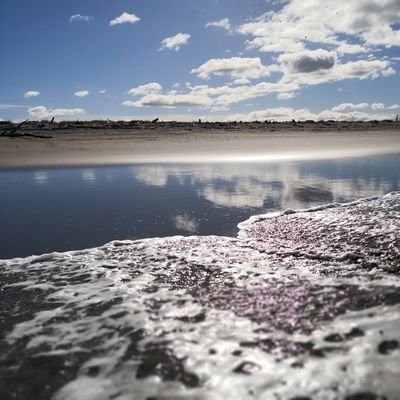 Samnita888's profile picture. Try BitcoinRewards! https://t.co/hqW4cqLogk😀