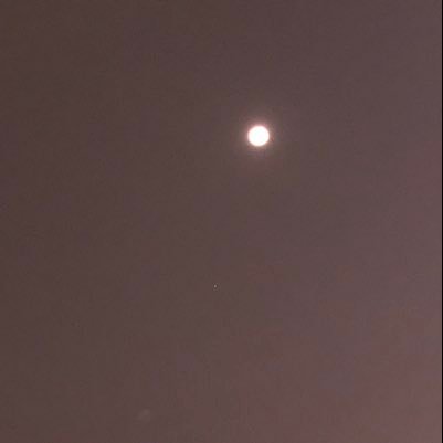 thekimsekim's profile picture. Kimsekim, geri takip var.