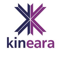 Kineara(@Kineara) 's Twitter Profile Photo