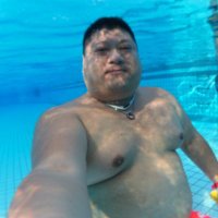 Cyberbeartw (@cyberbeartw) 's Twitter Profile