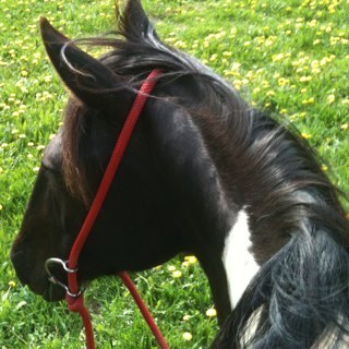 Scully8184's profile picture. Klukscheißer*in, überzeugte Weltverbesser*in, hört sich selbst gern reden. Queer enough. She|sie