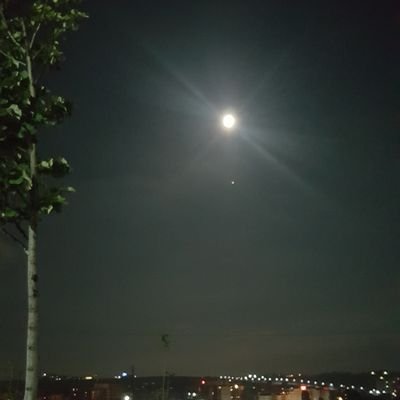 Am59537560's profile picture. 