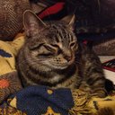 STUBBY336 - @RileyCasey13 - Twitter