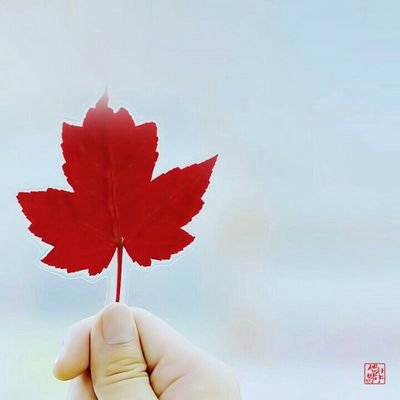 Annisa_Moy's profile picture. 